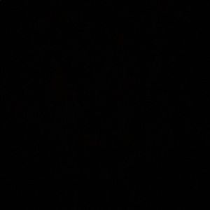 Meet your Posher, Jaylene